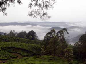 Munnar