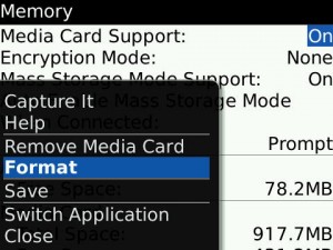 Blackberry Memory Options