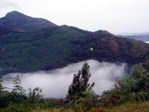 Ervikulam National Park, Rajmala