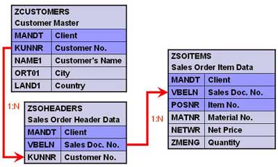 SAP Custom or Z-Table Cardinality