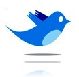 twitter-bird